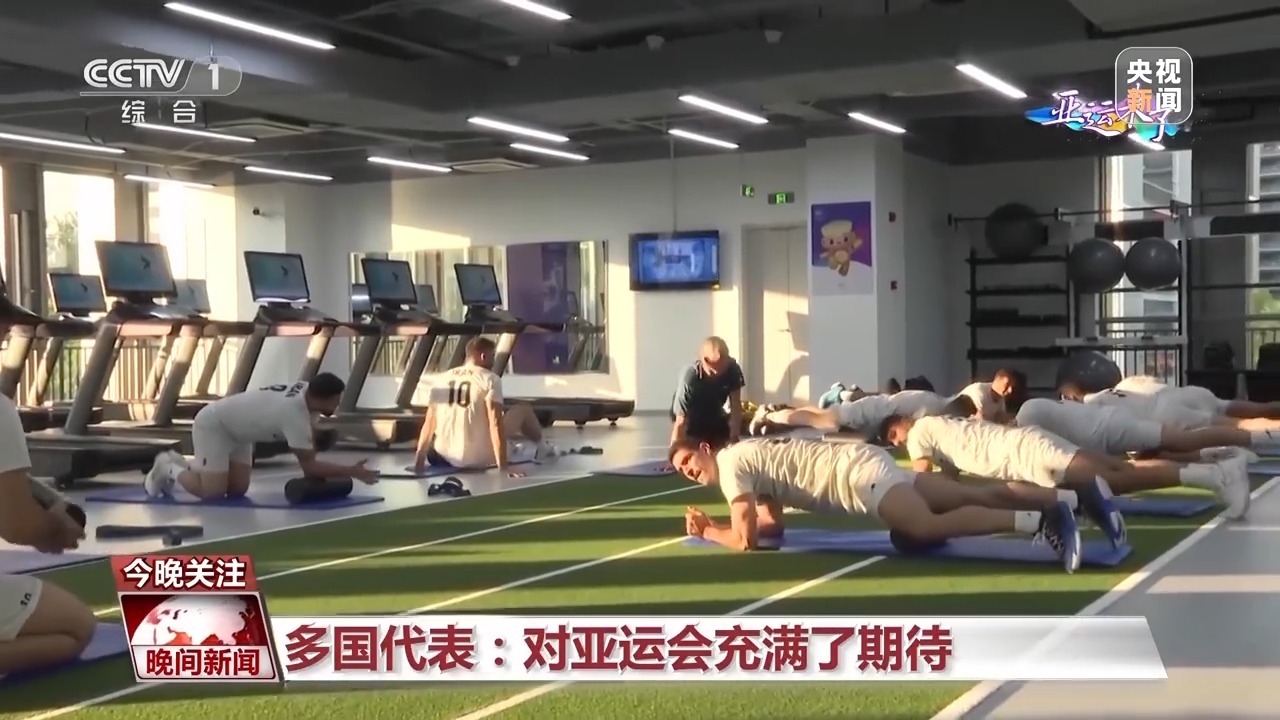 龙宝是什么意思